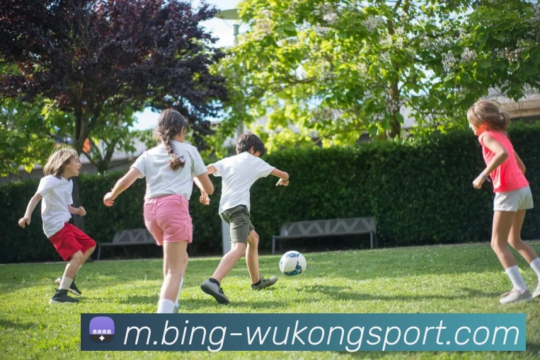 多媒体互动体验