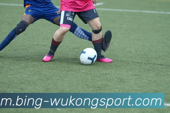 悟空体育APP 体育赛事宣传图